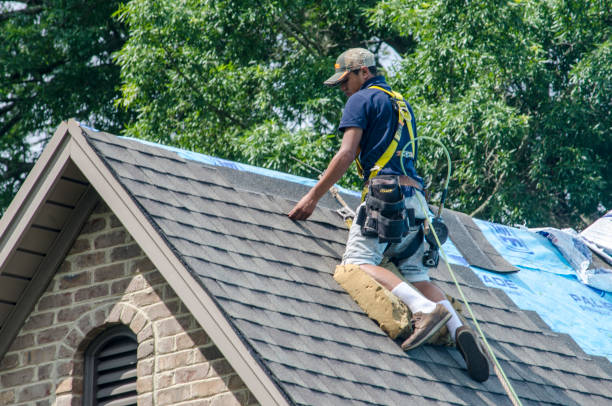 Best Roof Waterproofing Services  in Amity Gardens, PA